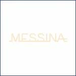 Home 12 Gelato Messina client logo