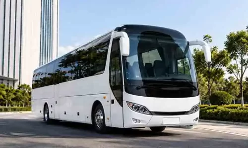 Charter bus Australia for group transport and private travel
